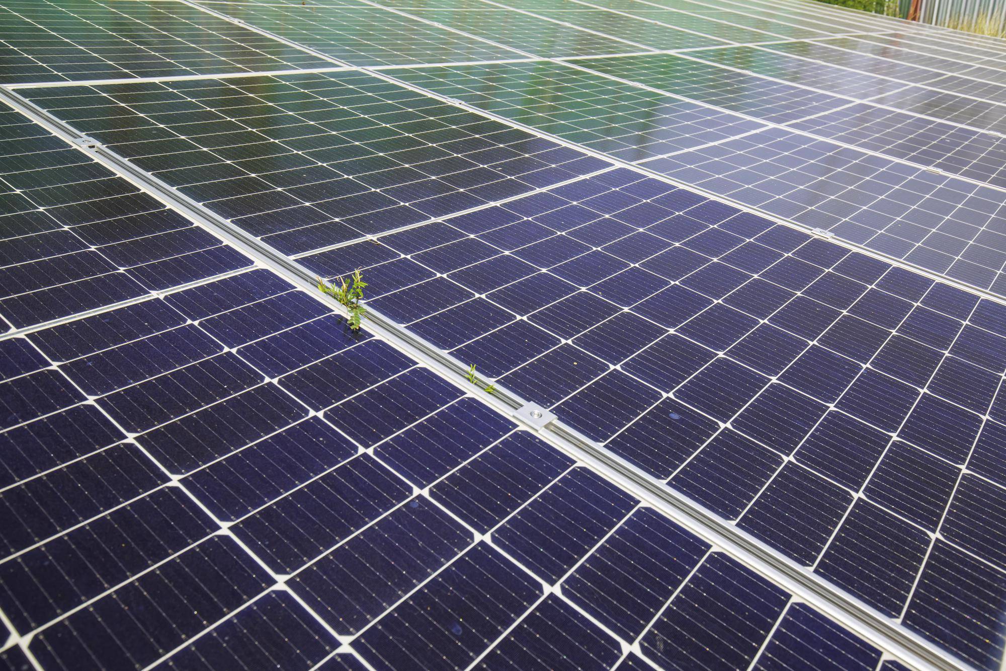 4000 kWh ile paneli fotowoltaicznych potrzeba do zasilenia domu?
